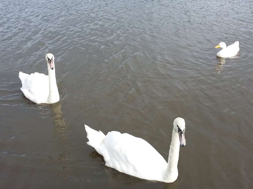 Worsbrough Mill Museum & Country Park景点图片