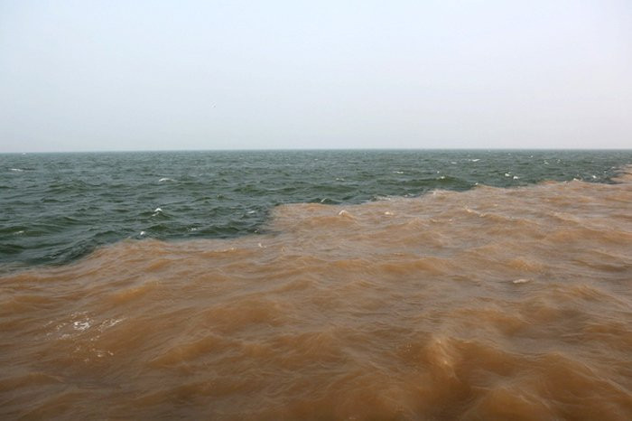 黄河入海口-东营市必去景点