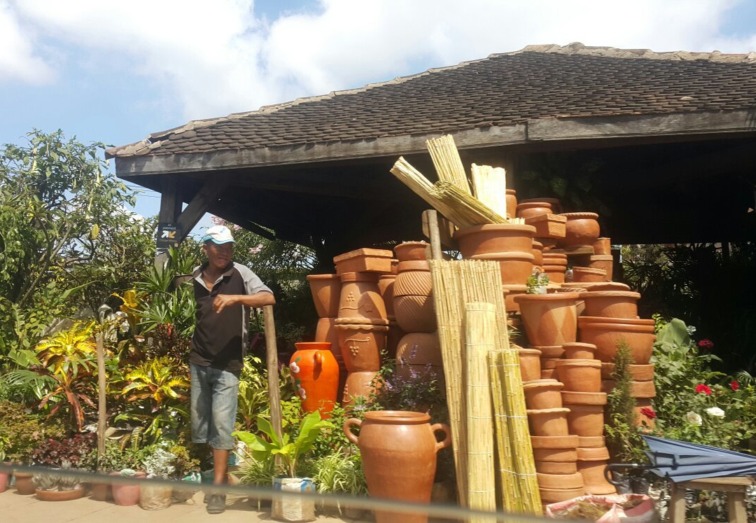 Antananarivo Flower Market景点图片