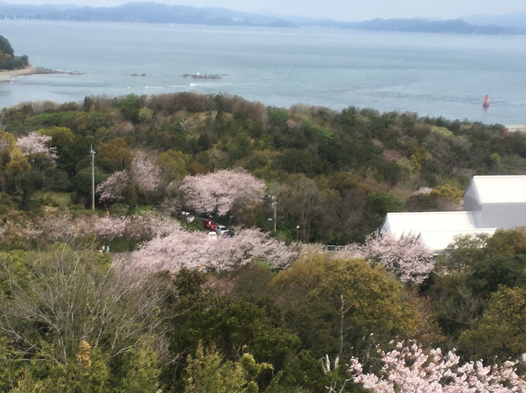 Myokensan Park-鸣门市必去景点