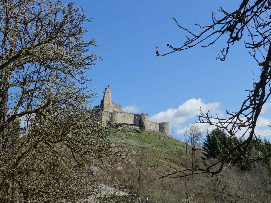 Burgruine Ruttenstein-Niederhofstetten必去景点