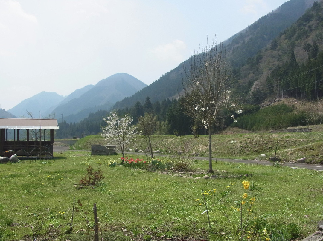 Yamamoyado Hiokio主图