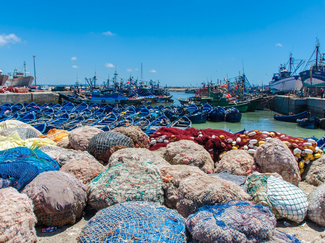 索维拉渔港景点图片
