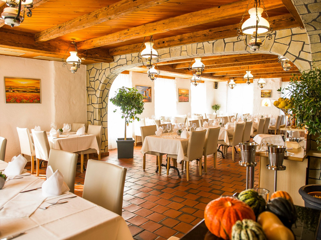 Elsau餐馆和美食-Restaurant Hotel zum Sternen