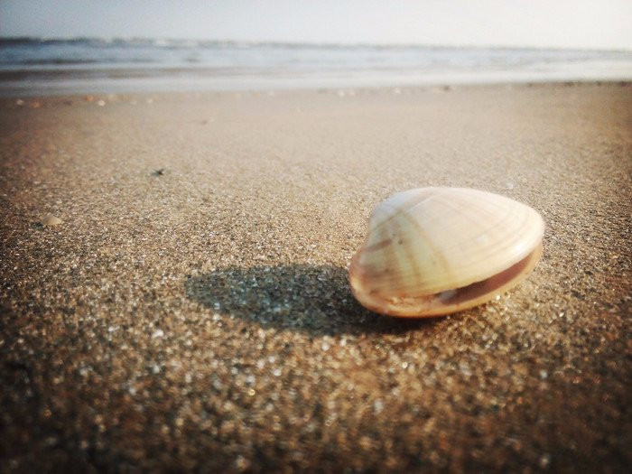 老虎石公园-秦皇岛市必去景点