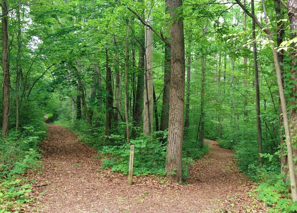 Hayes Arboretum-里士满必去景点
