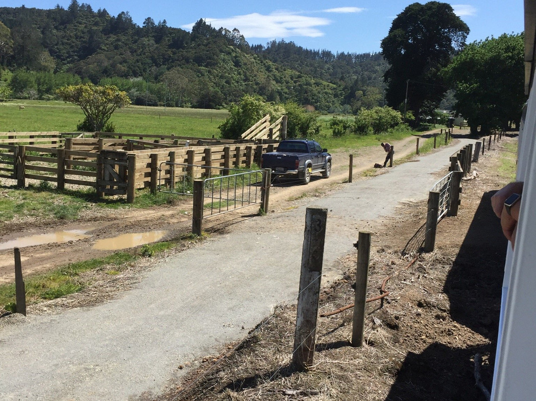 Bridgewater Bay Apartments主图