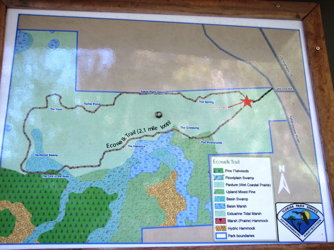Crystal River Preserve State Park Eco-Walk-克里斯特尔里弗必去景点