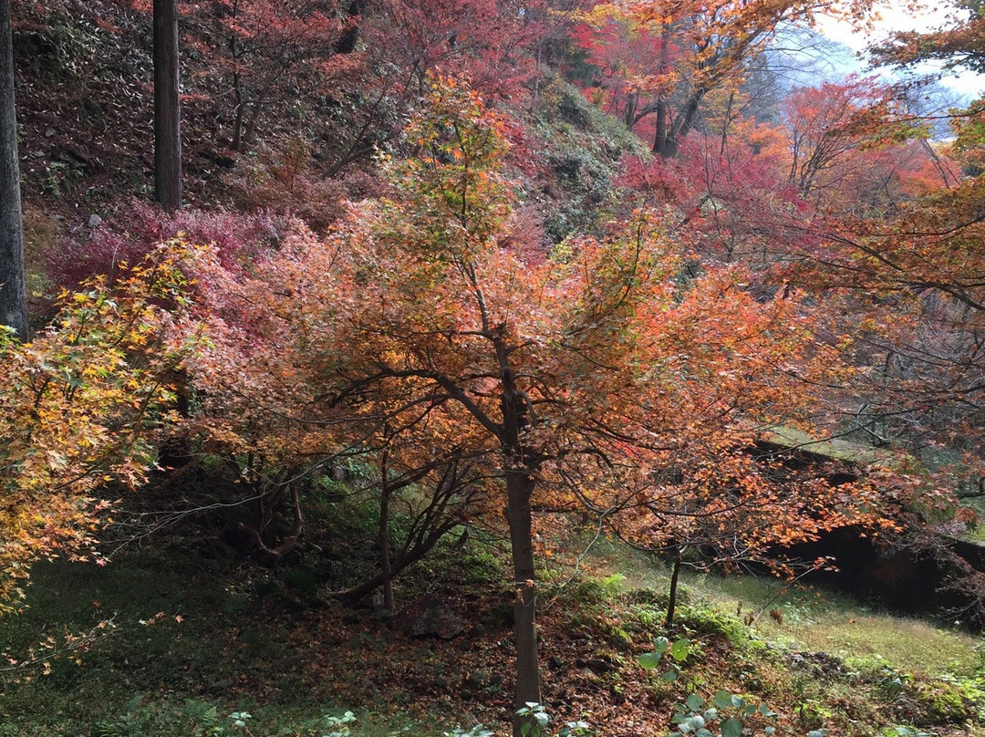 Kakyo Park-越前市必去景点