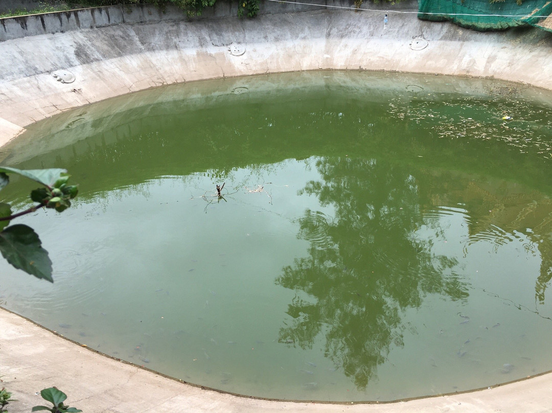 Mekong Turtle Conservation Center-Kratie必去景点