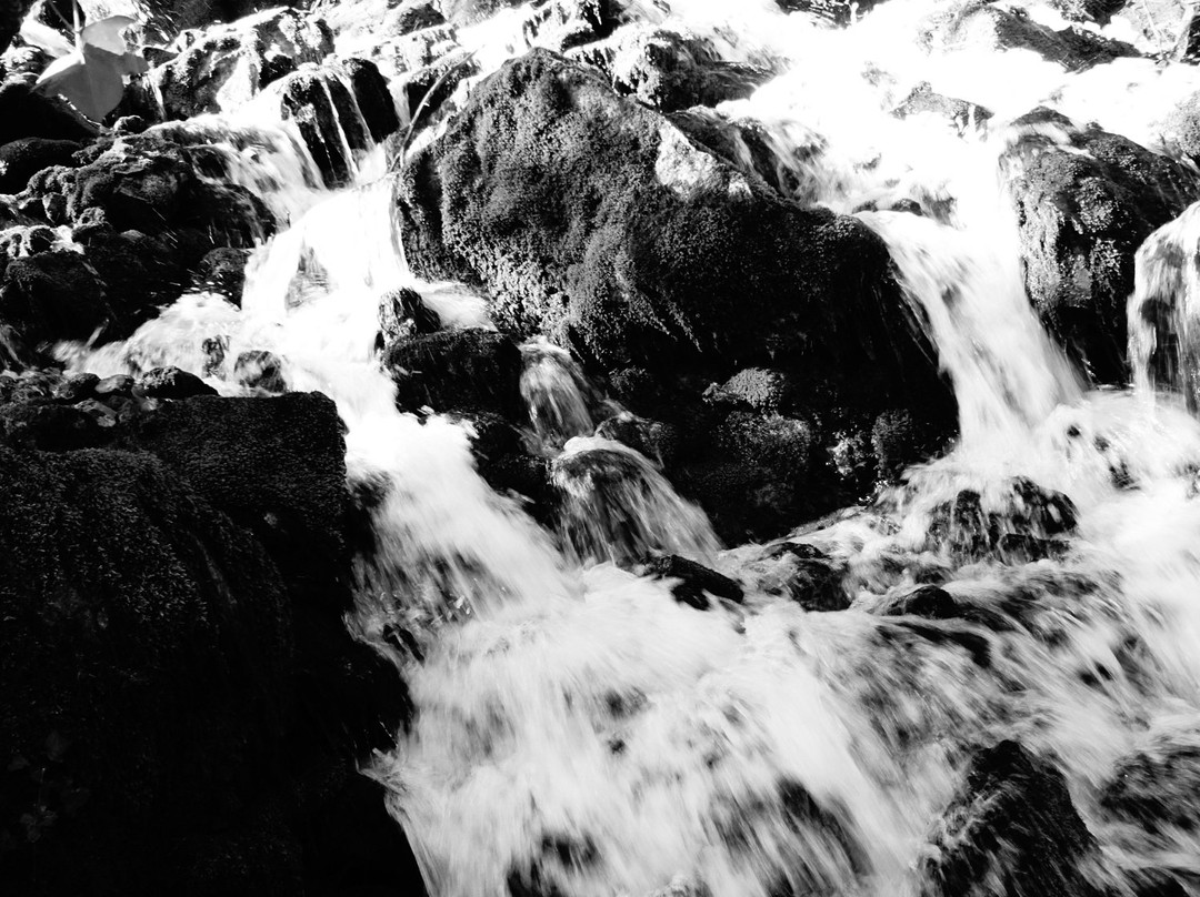 Nacimiento del Rio Cadagua景点图片