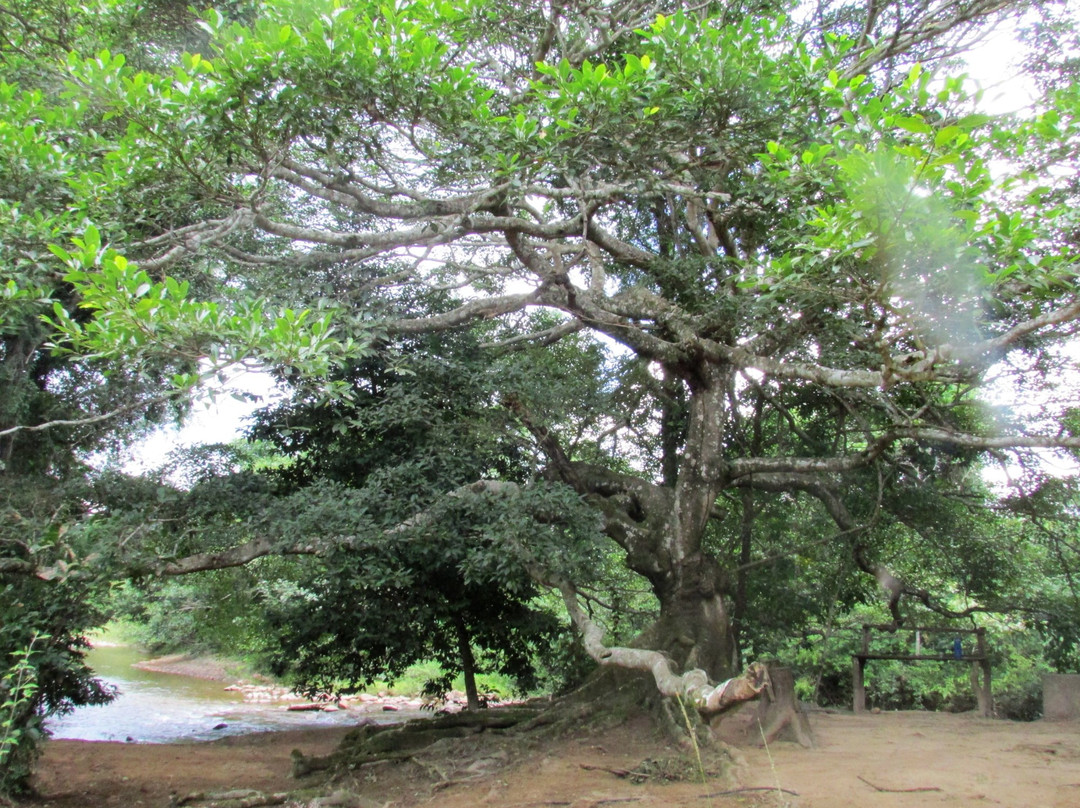 Balneario Praia Grande-Pirenopolis必去景点