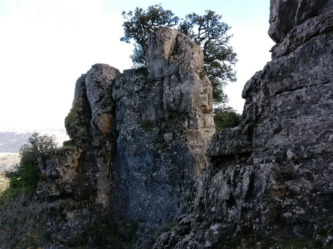 Foresta di Montes-Orgosolo必去景点