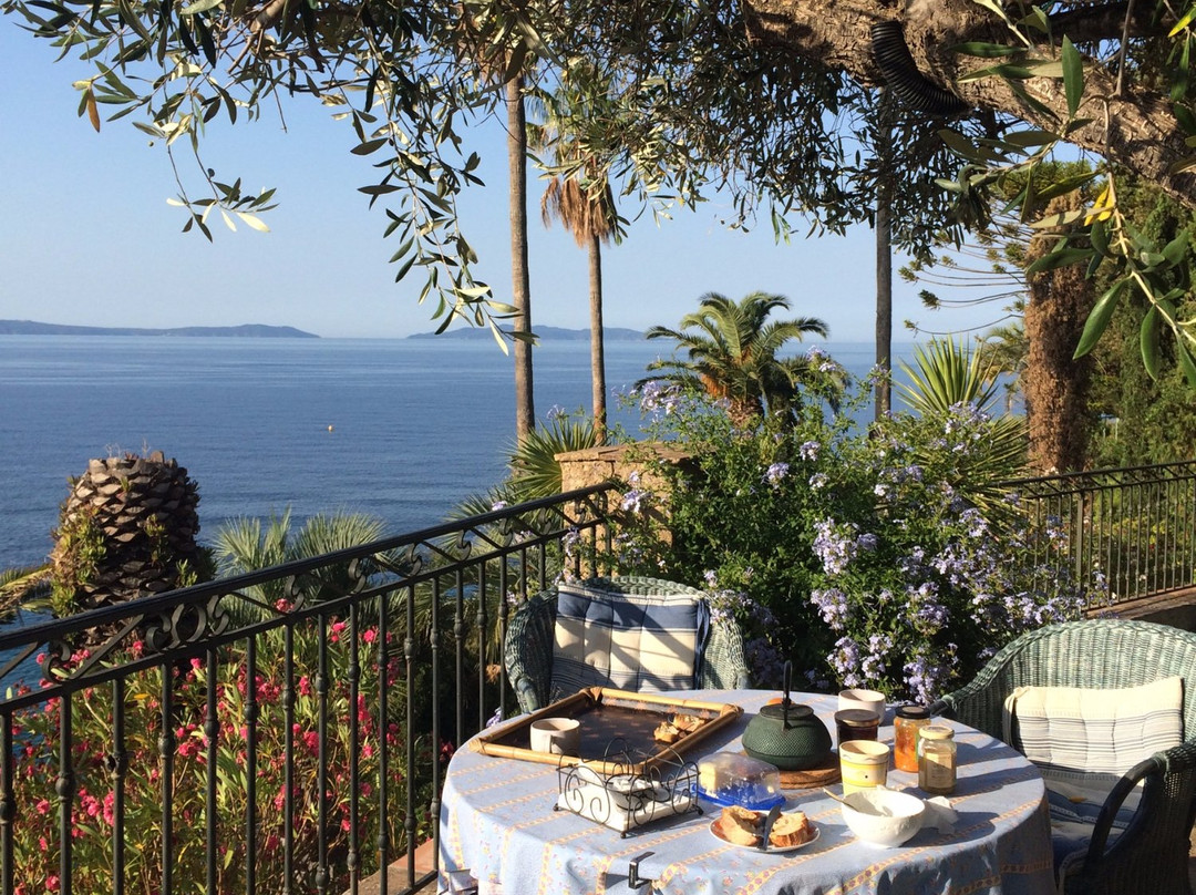 FrenchbytheSea-Rayol-Canadel-sur-Mer必去景点