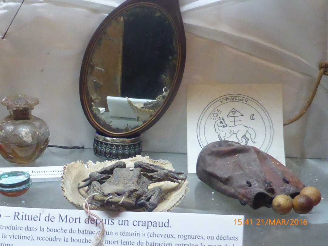Musee de L'etrange景点图片