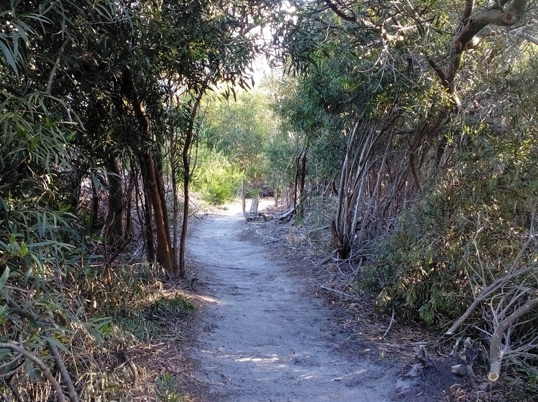 Greyton Genadendal Mountain Bike Route景点图片