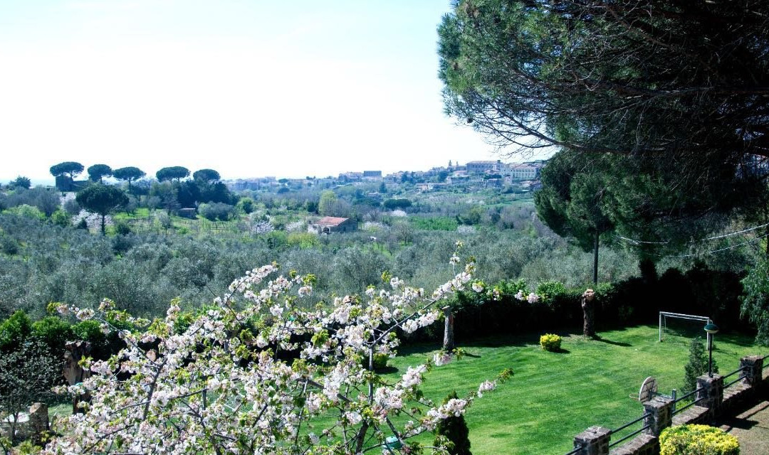 Barone di Brancato主图