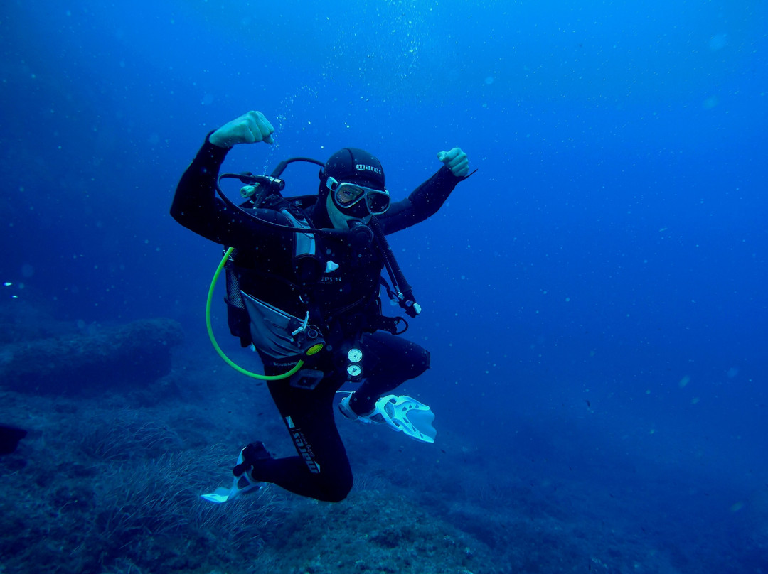 Orcasub Ibiza Diving Center景点图片