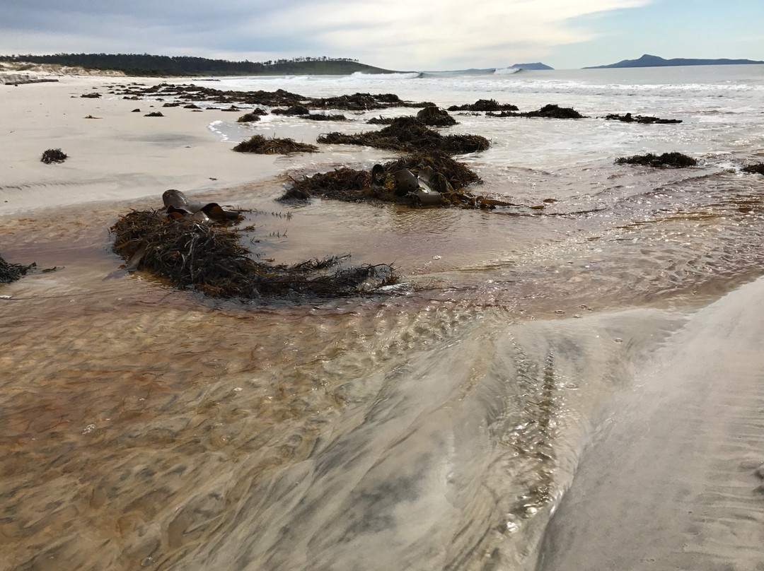 Wind Song Bed & Breakfast主图