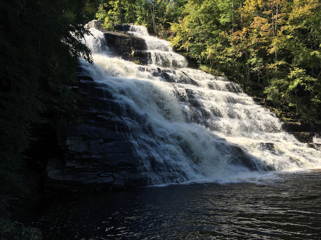 Barberville Falls景点图片
