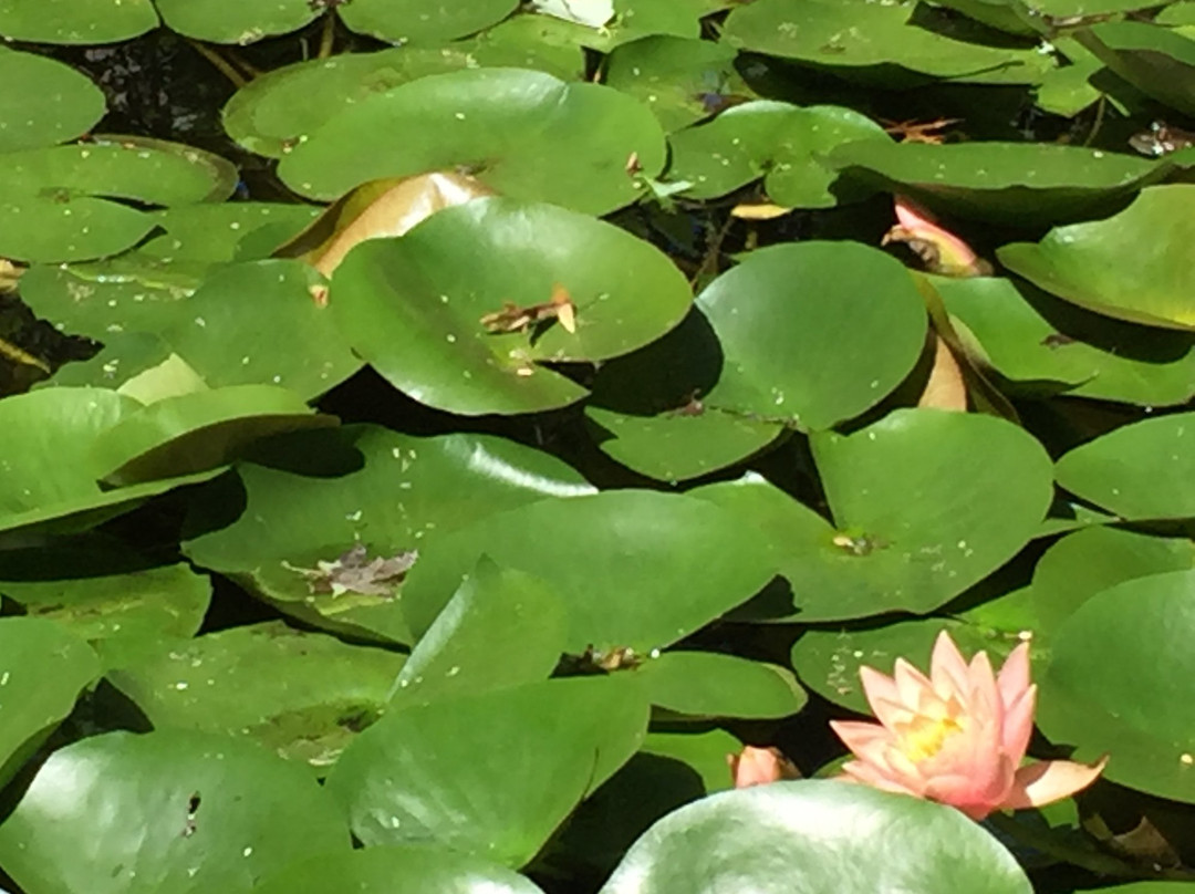 Willowbrook Wildlife Center-Glen Ellyn必去景点