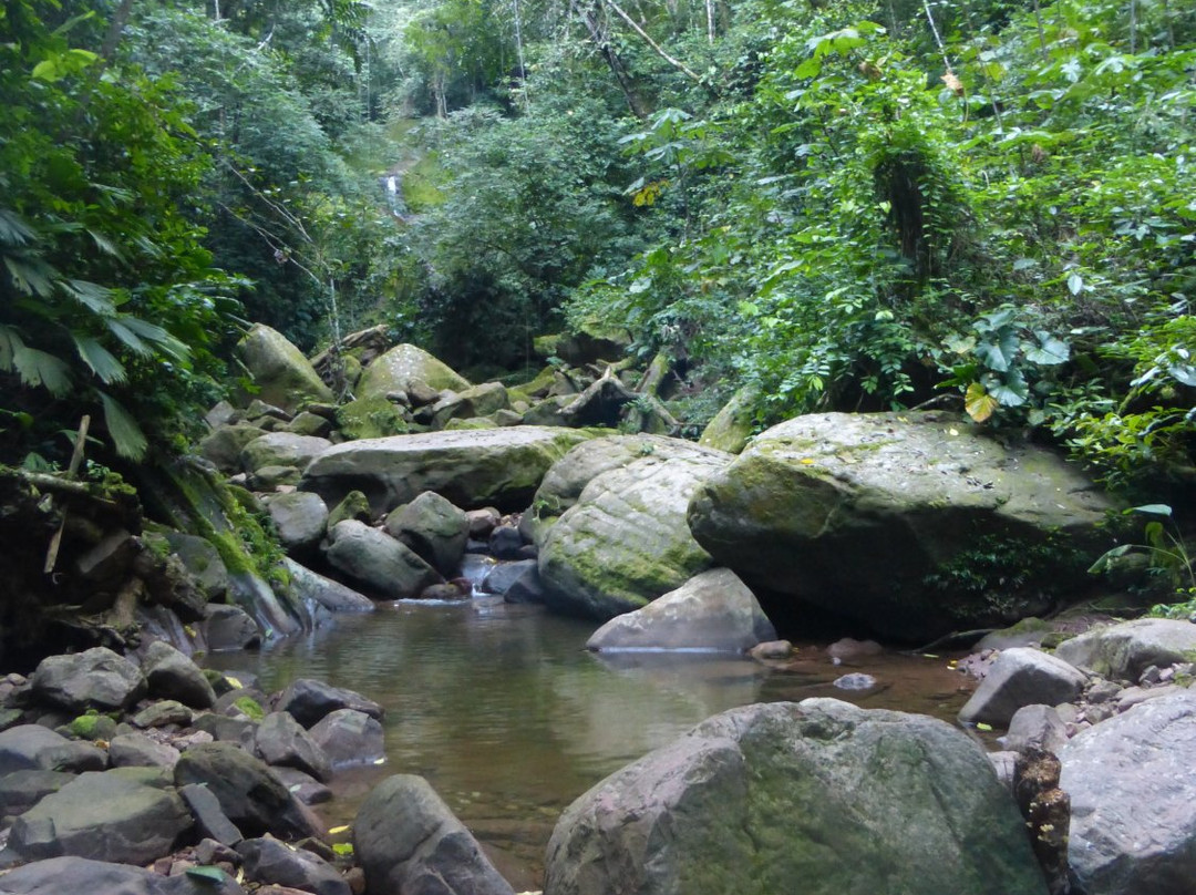Circuitos Ecoturísticos Alto Shilcayo y Adyacentes-Tarapoto必去景点