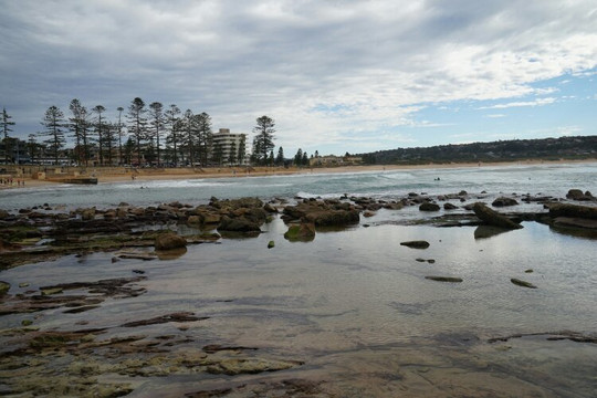 Manly Freshwater Parish-曼利议会必去景点