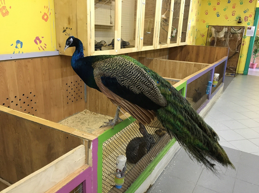 Solnechnoye Rancho-秋明必去景点