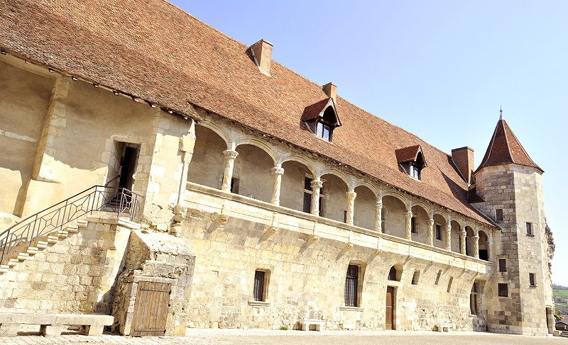 Château-Musée Henri IV景点图片