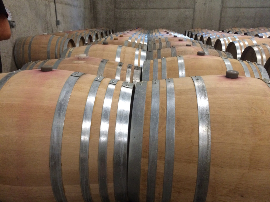 Domaine Roy & fils-Dundee必去景点