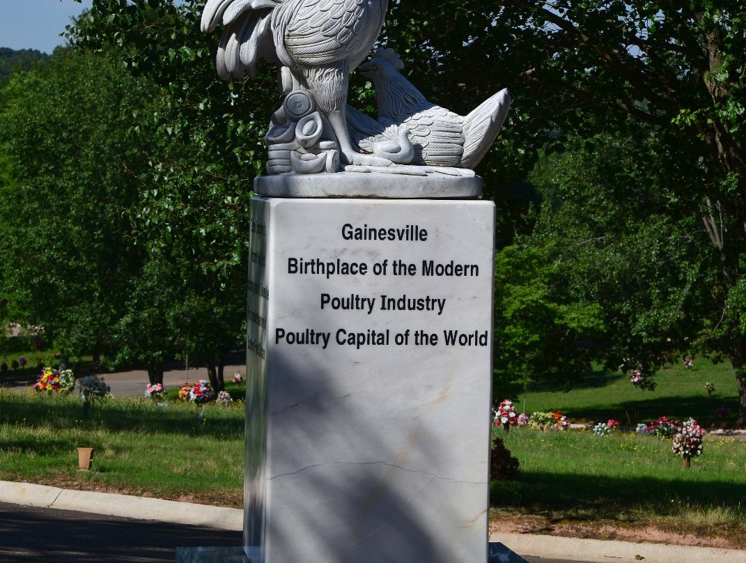 Northeast Georgia History Center-盖恩斯维尔必去景点