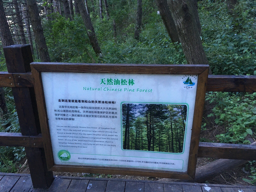 松山森林旅游区-北京市必去景点