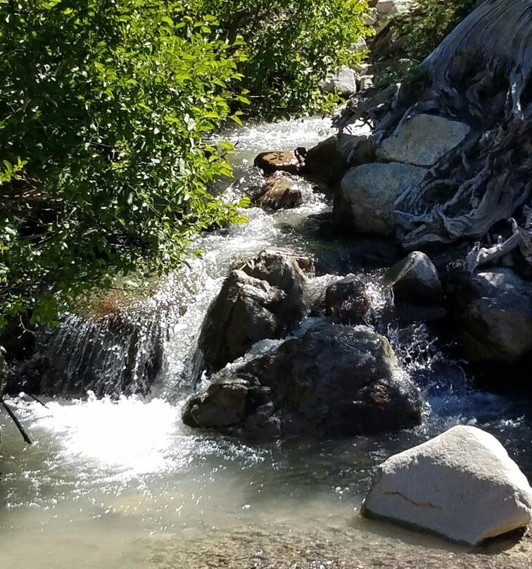 Mill Creek Falls景点图片