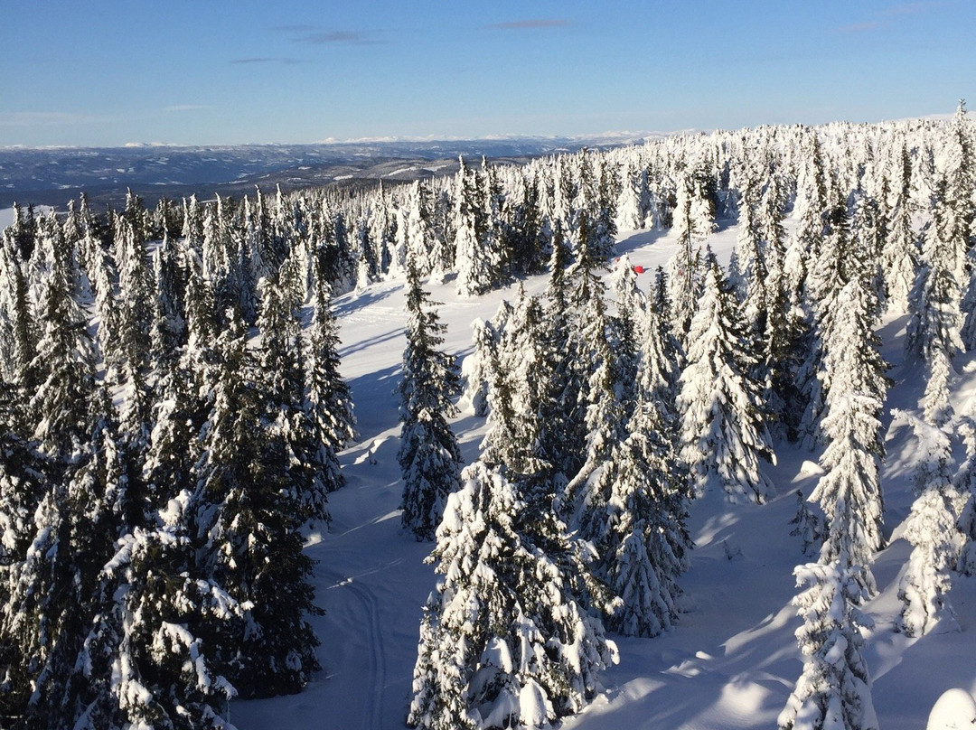 Sjusjoen Ski Center景点图片