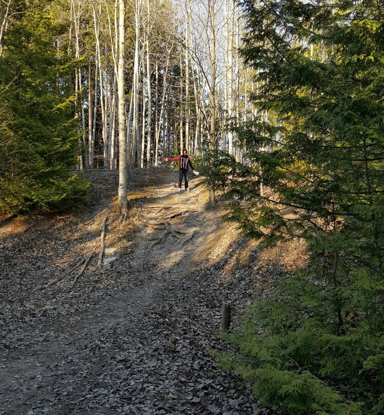 Ardagh Bluffs-巴利必去景点