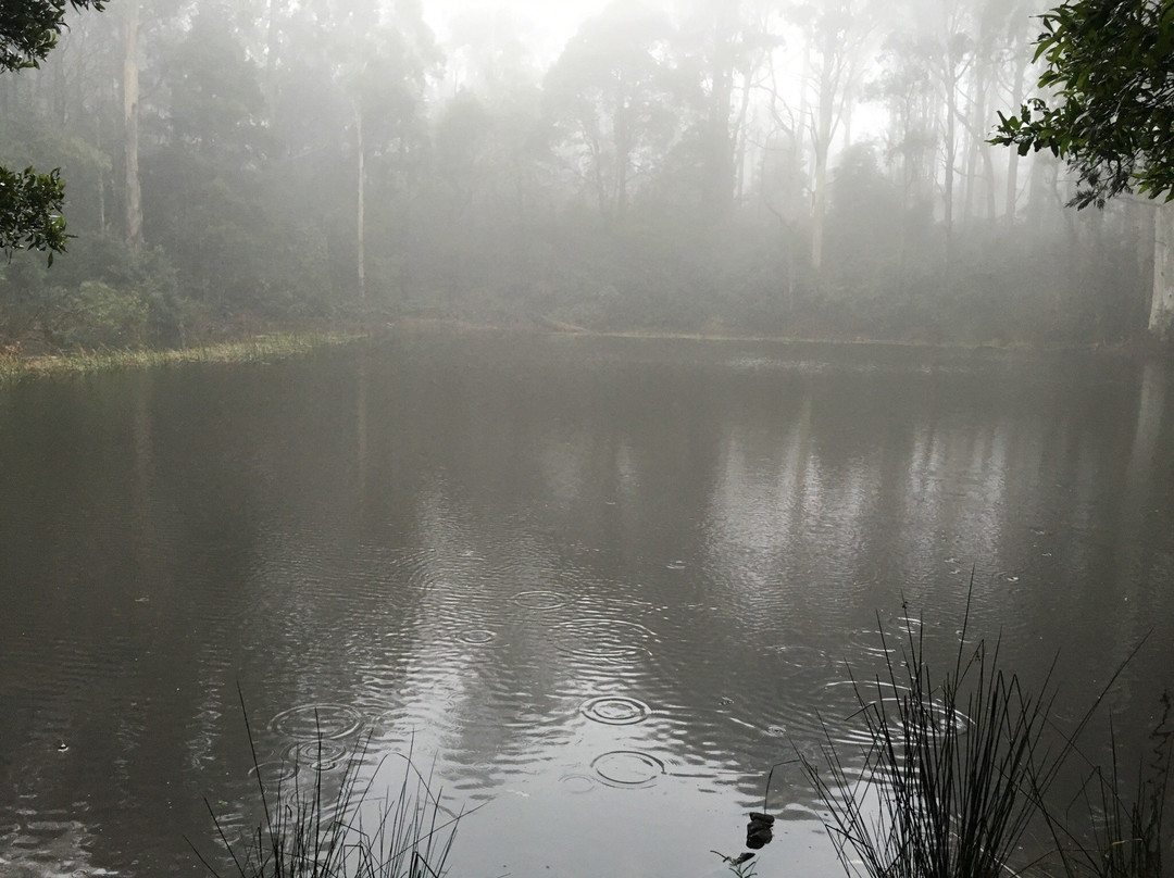 Sanatorium Lake-马其顿山必去景点