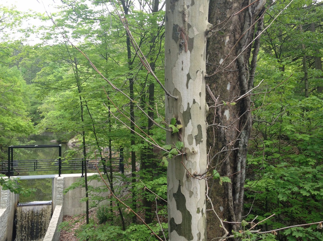Hemlock Gorge Reservation景点图片