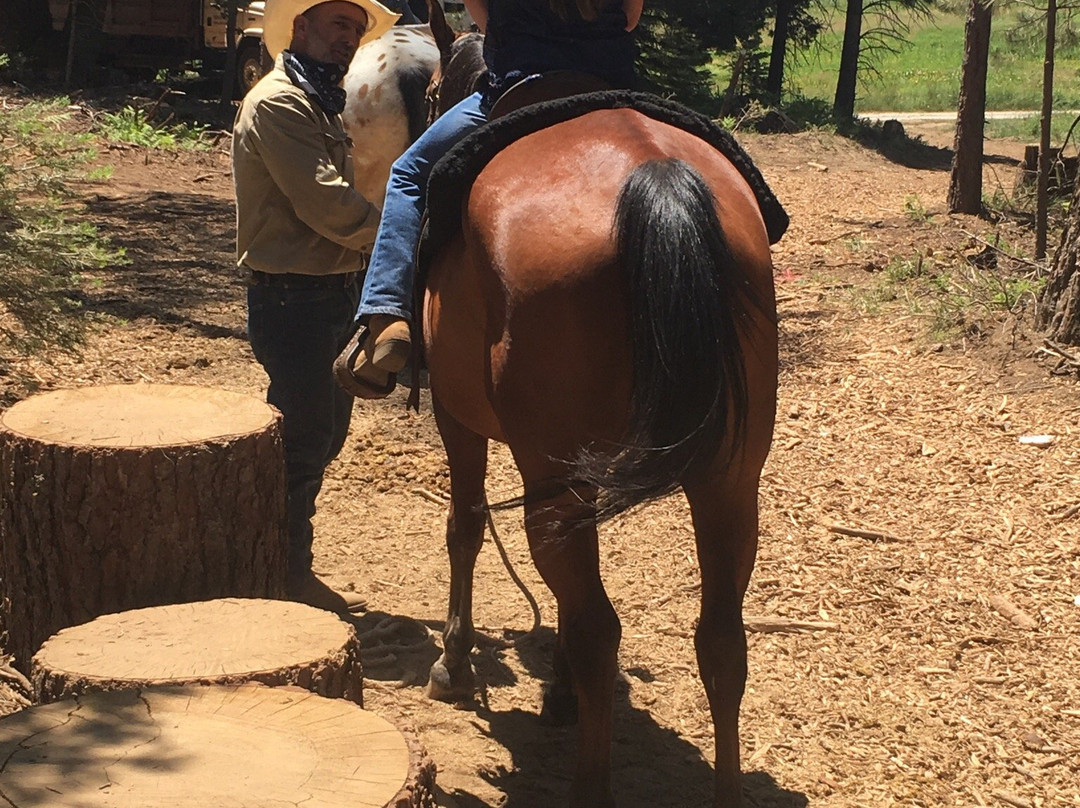 Shaver Stable-Shaver Lake必去景点