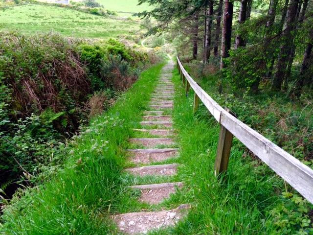 Carrigfadda Hill Walk景点图片