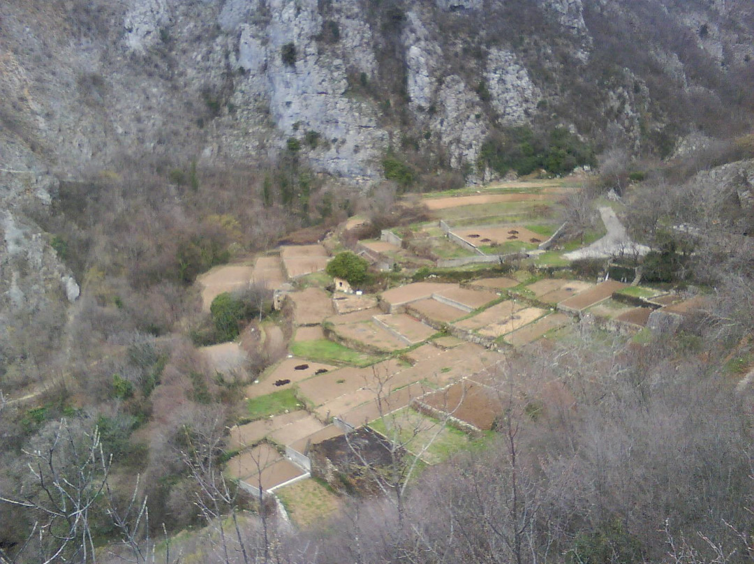 Borak River Source景点图片