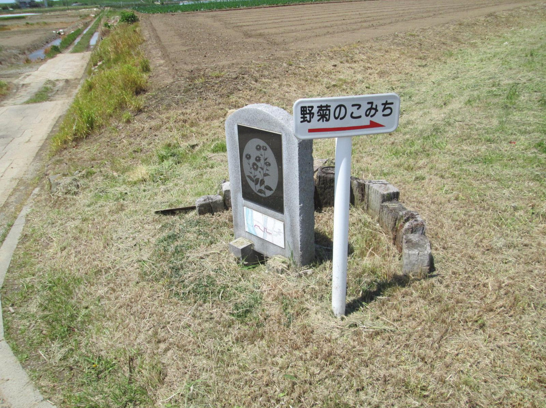 Nogiku No Haka Bungaku Hi-松户市必去景点