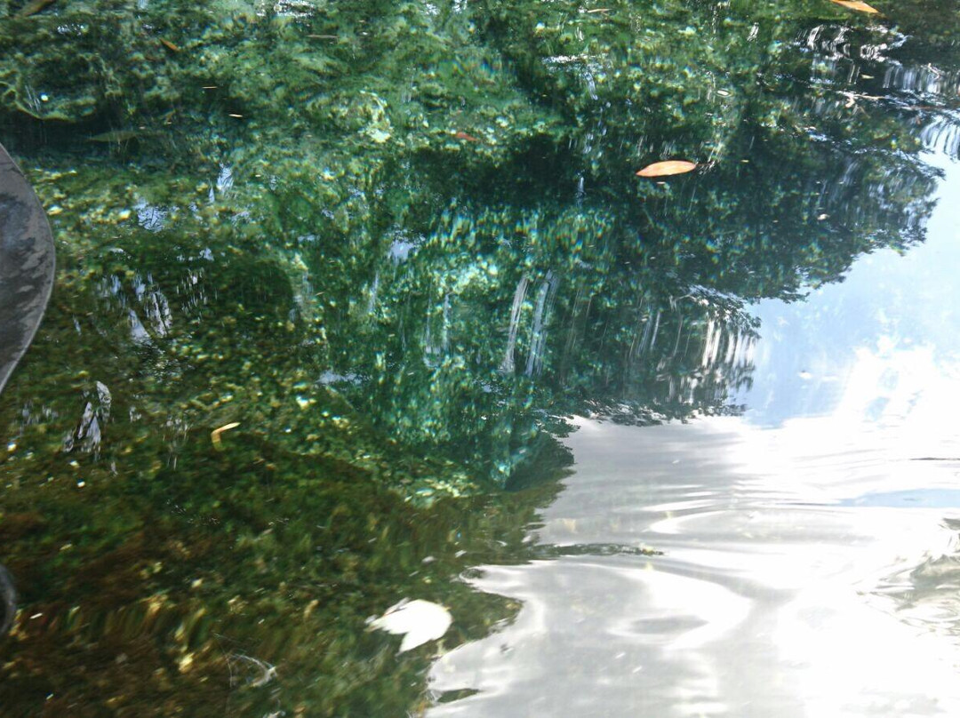 Chassahowitzka National Wildlife Refuge-克里斯特尔里弗必去景点