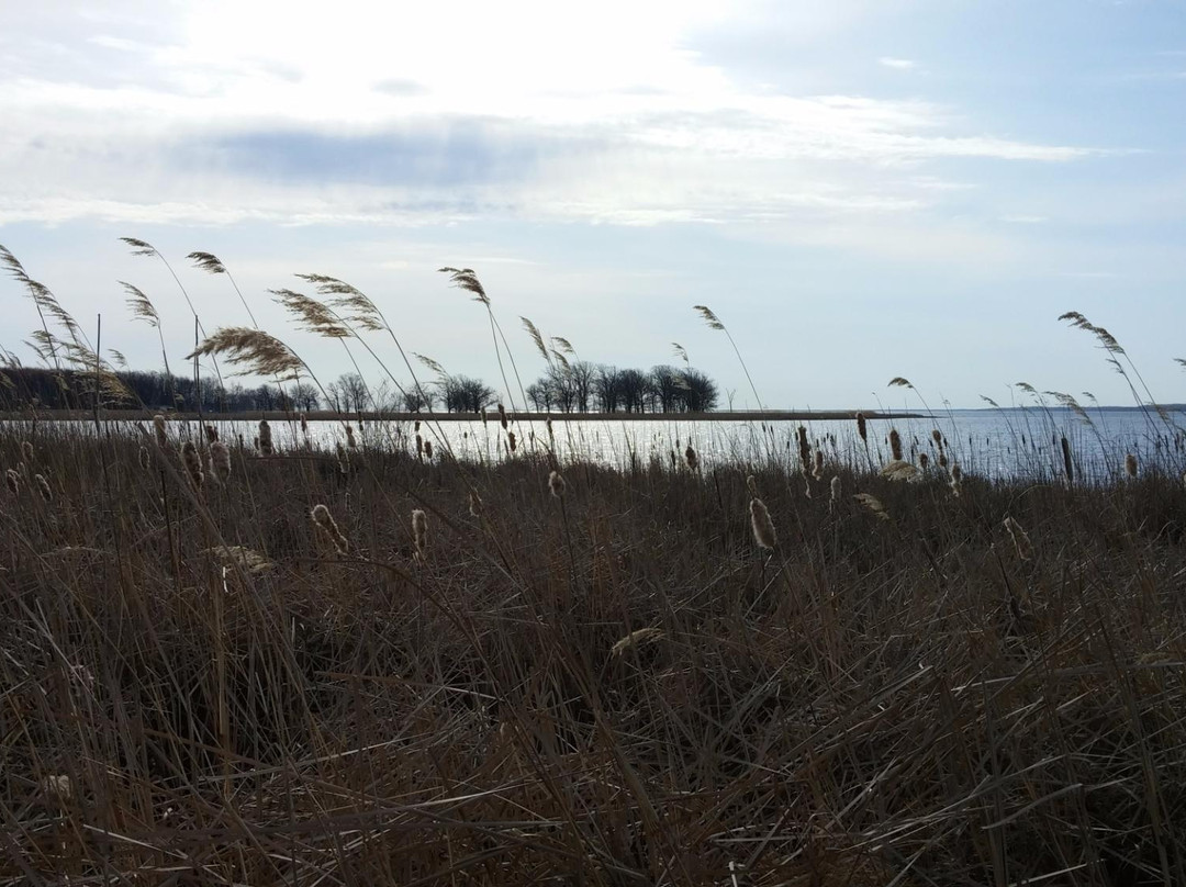 Mille Lacs Indian Museum and Trading Post景点图片