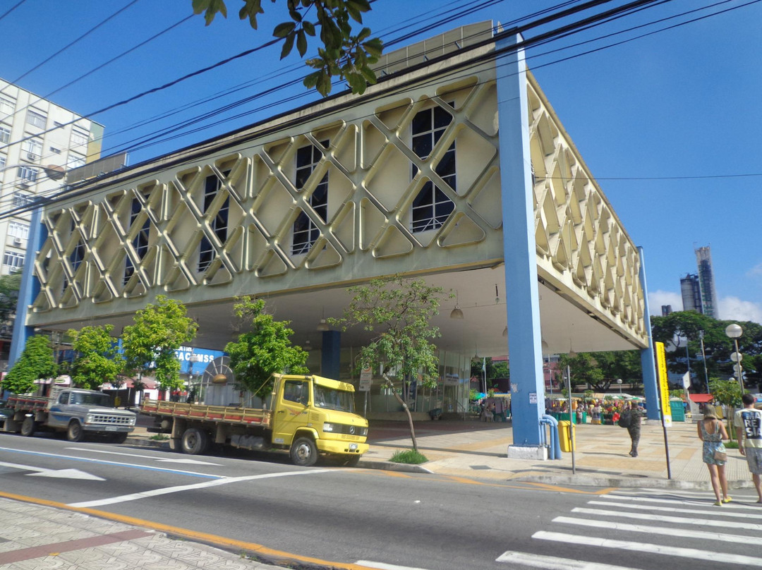 Biblioteca Pública Municipal Raul de Leoni景点图片
