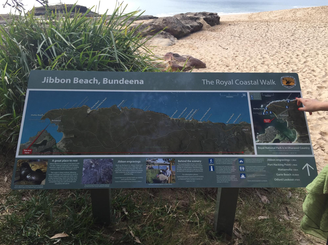 Dharawal Aboriginal Engravings Site-Royal National Park必去景点