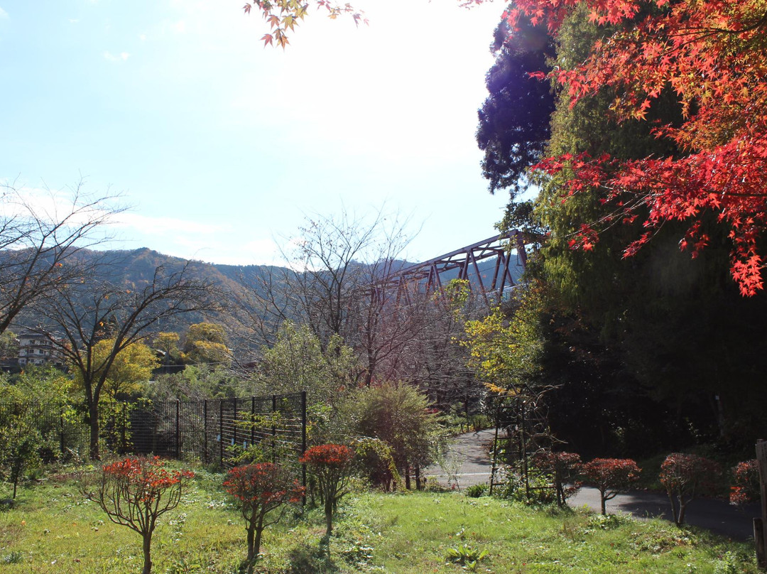 Wachisan Yaso no Forest-京丹波町必去景点