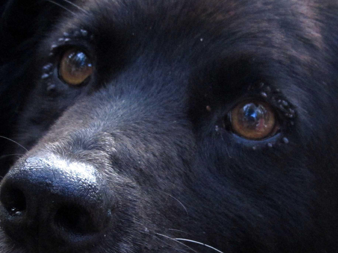 Parque Camet-马德普拉塔必去景点