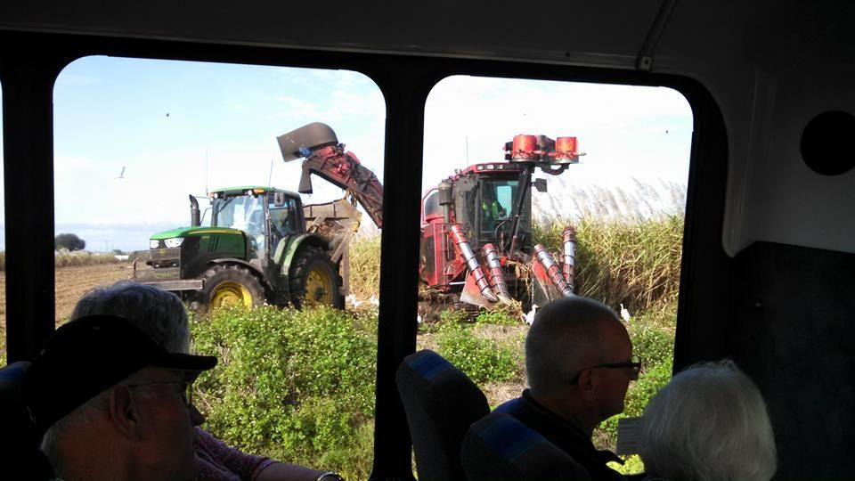 Sugarland Tours-克莱维斯顿必去景点