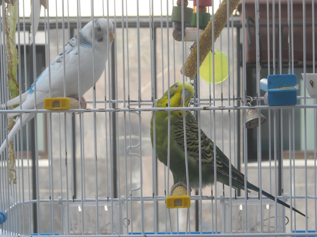 Delavall Hotel主图