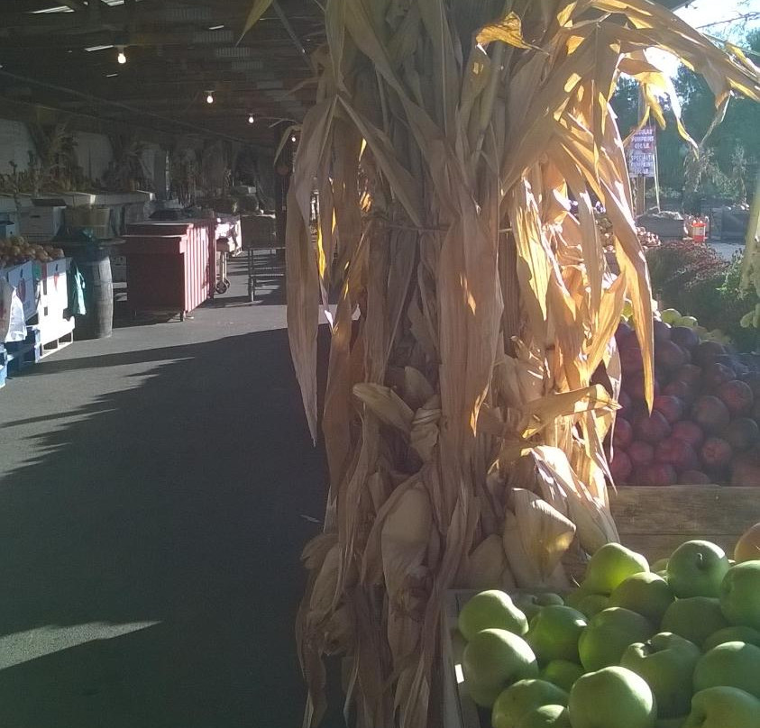 Cider Mill Playhouse-Endicott必去景点